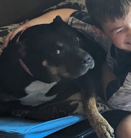 Free loves- closet rule - Picture 2 of 5